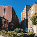 薬剤師国家試験のその先へ！みんなが気になる「大学での研究職」について